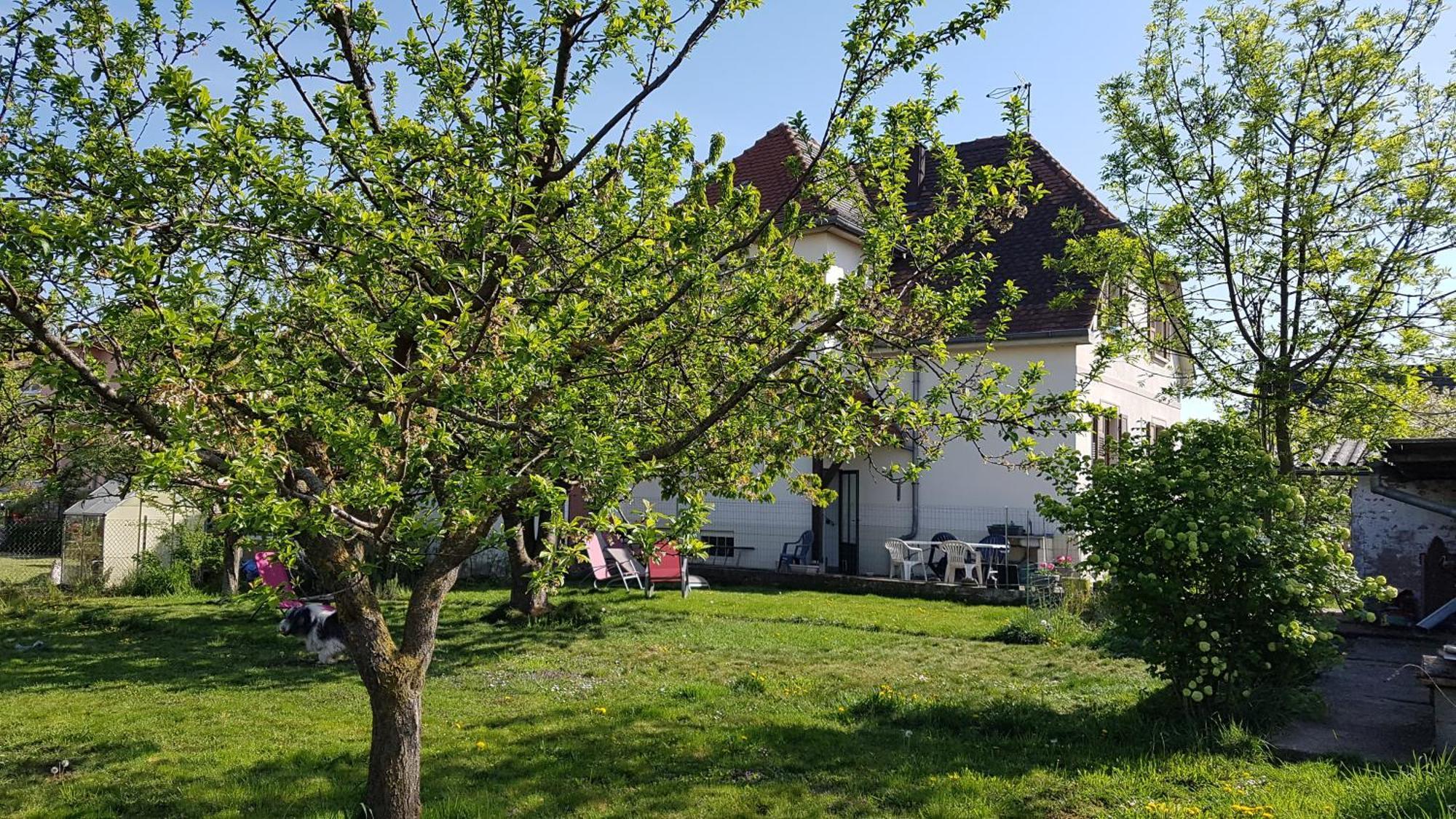 Maison Les 3 Roses Wolfisheim Dış mekan fotoğraf