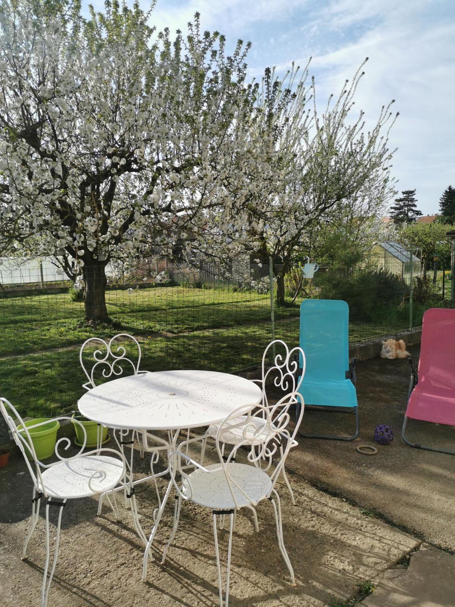 Maison Les 3 Roses Wolfisheim Dış mekan fotoğraf